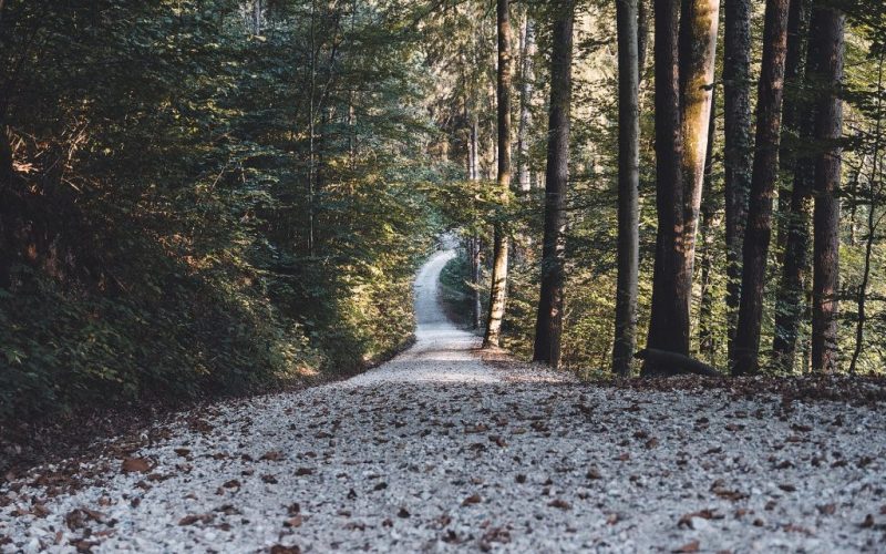 pexels-j-knappitsch-15287908-1024x683